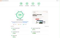 Google PageSpeed score results screenshot